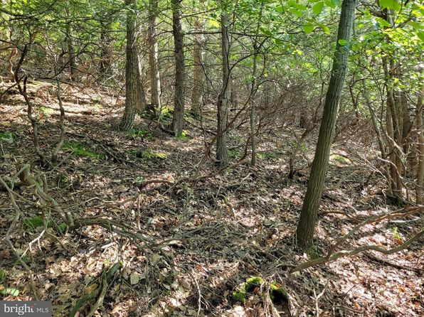 LOT 89 Ridge Run Rd, Claysburg, PA 16625
