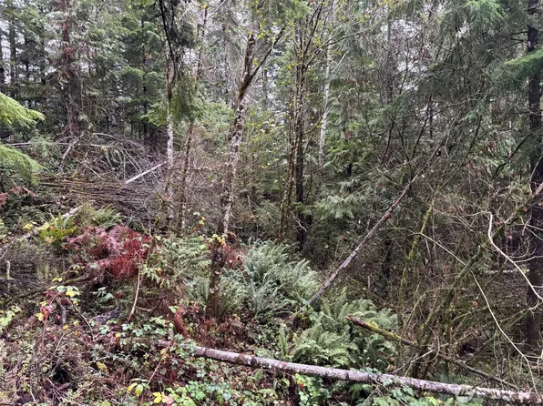 896 N Lake Cushman Drive, Hoodsport, WA 98548