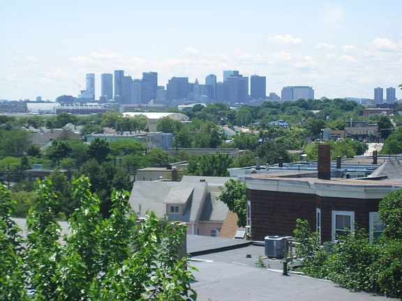 View from back deck