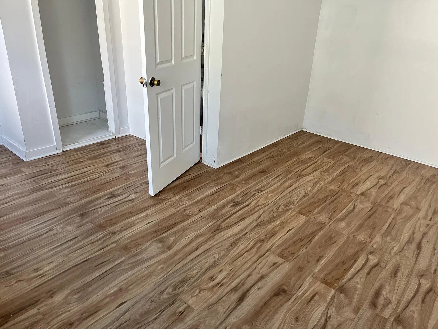1 bed, 775 sqft, $650 — Photo 4