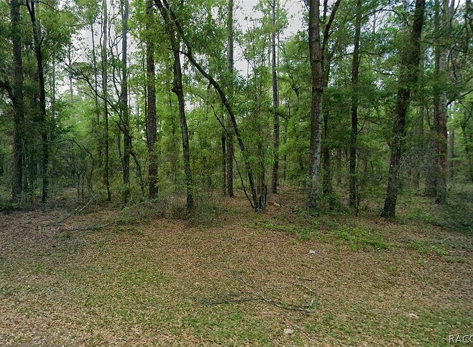 1st image of 9183 N Anton Way