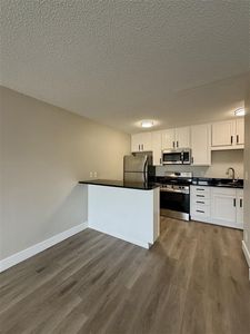 1800 Lasalle Ave Unit 302, Minneapolis, MN, 55403