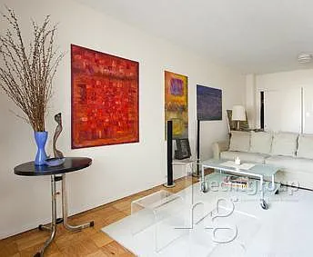 345 E 80th St APT 11A photo 1