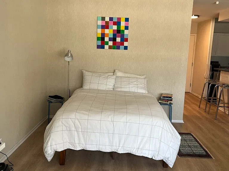 777 N Michigan Ave #2507 — Photo 14