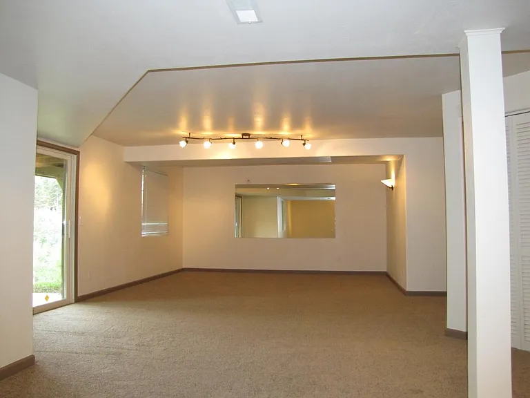 huge finished walkout lower level