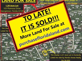 103 Plumosa Dr, Georgetown, FL 32139