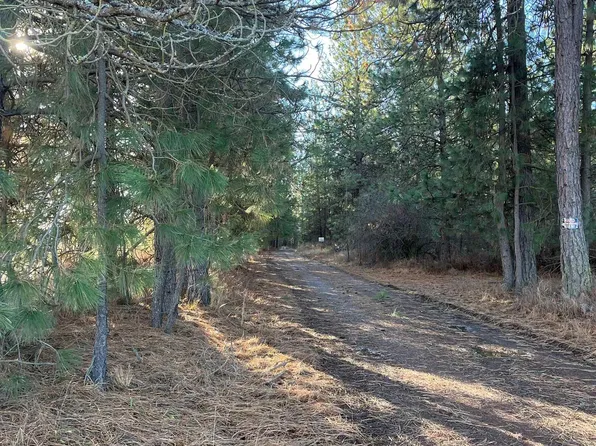 20 N Cedar Rd, Colbert, WA 99005