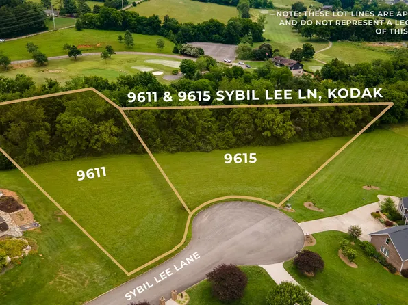 9615 Sybil Lee Ln, Kodak, TN 37764