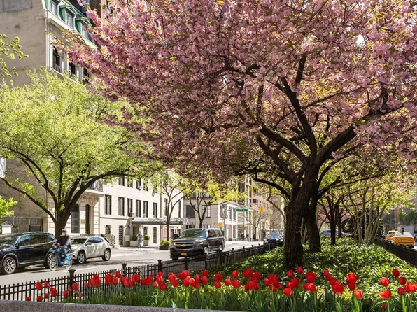 71 Park Avenue image 12 of 12