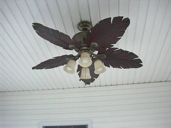 Ceiling fans in back pati