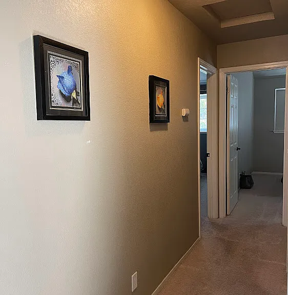 406 Darryl Dr — Photo 7