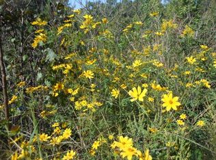 1885 Elmer Cox Rd, Bethel Springs, TN 38315