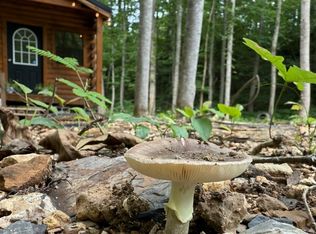 1045 Jones Mill Rd, Smithville, TN 37166