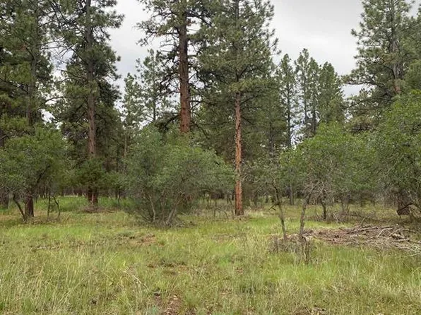Lot 430 S Badger Trail, Ridgway, CO 81432
