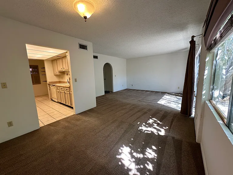 Combined living and dining rooms with back patio off dining room. (Carpet is currently being replaced with porcelain tile.)