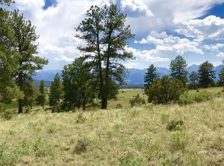 489 Larkspur Ln, Westcliffe, CO 81252