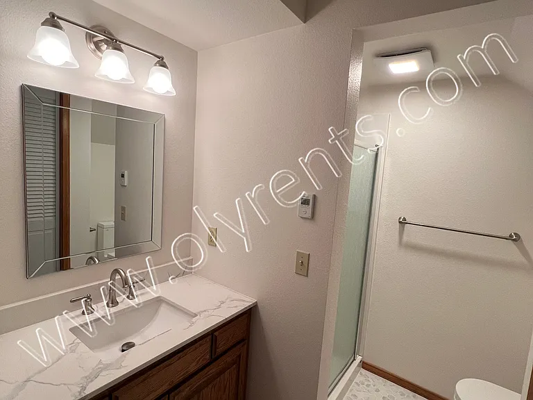 Primary Bathroom #2