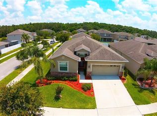 20433 Carolina Cherry Ct, Tampa, FL 33647