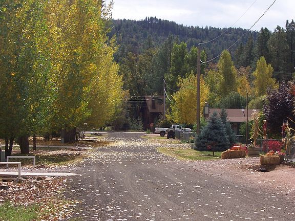 view looking out front of log cabin in fall