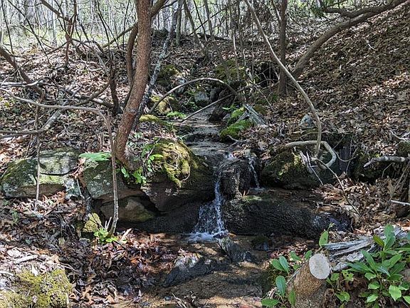 3rd image of 401 Fawn Trl