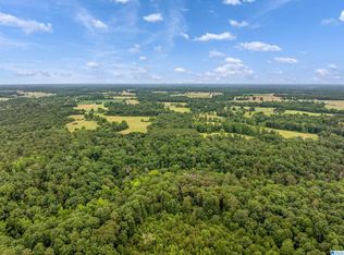 0 County Road 605 #0, Section, AL 35771