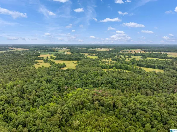 0 County Road 605 #0, Section, AL 35771