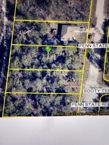 16153 Penn State Rd, Brooksville, FL, 34614