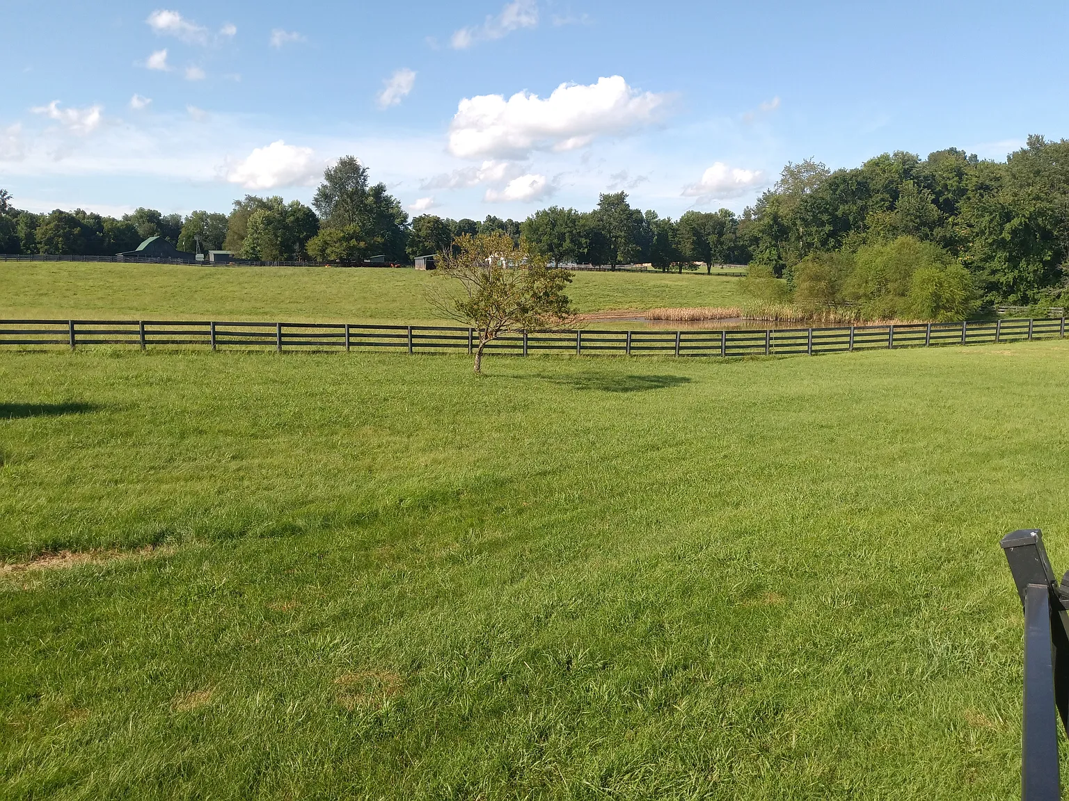 3 bed, 1332 sqft, $1,800 — Photo 2