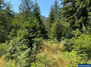 Tl 1600 North Santiam Hwy SE, Detroit, OR 97342