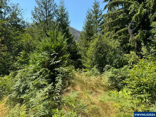 Tl 1600 North Santiam Hwy SE, Detroit, OR 97342