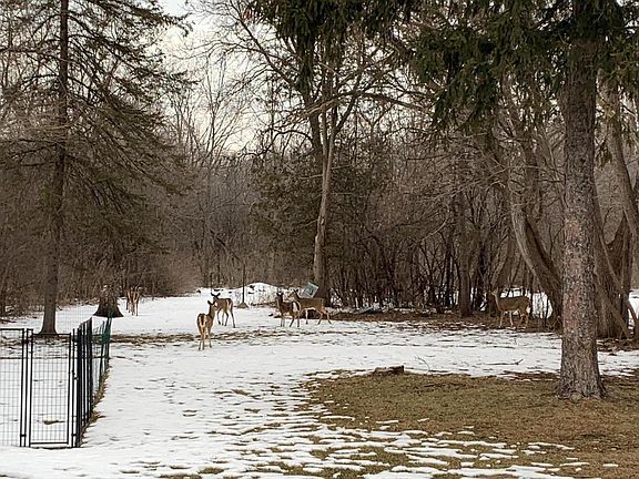 2nd image of 4226 Northwestern AVENUE