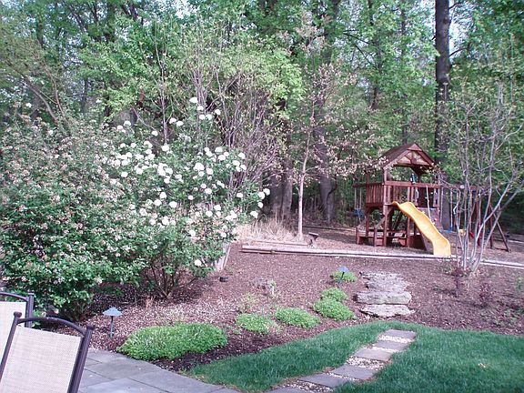Backyard Playground