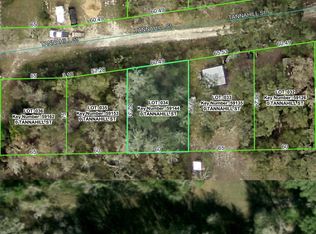 0 Tannahill St, Dade City, FL 33523