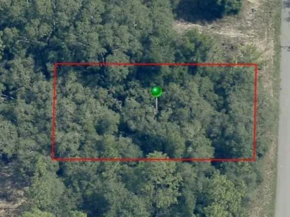 7064 N Ripley Dr, Citrus Springs, FL 34433