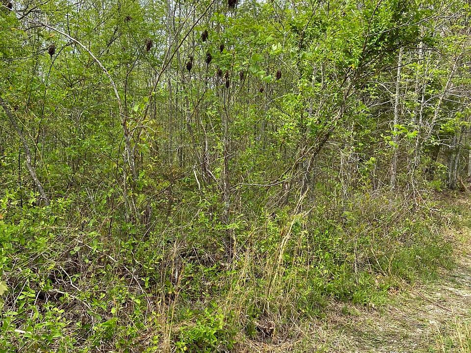2nd image of 410 Lora Woods Rd