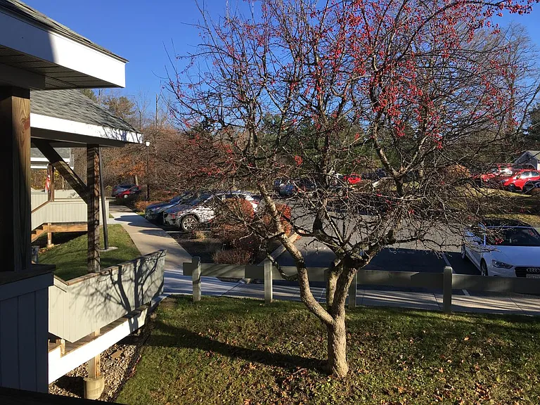 1450 North St #210 — Photo 38