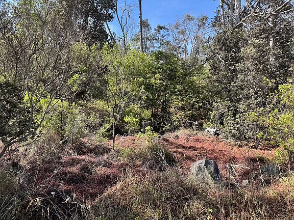 4th image of Ohia Dr Lot 33