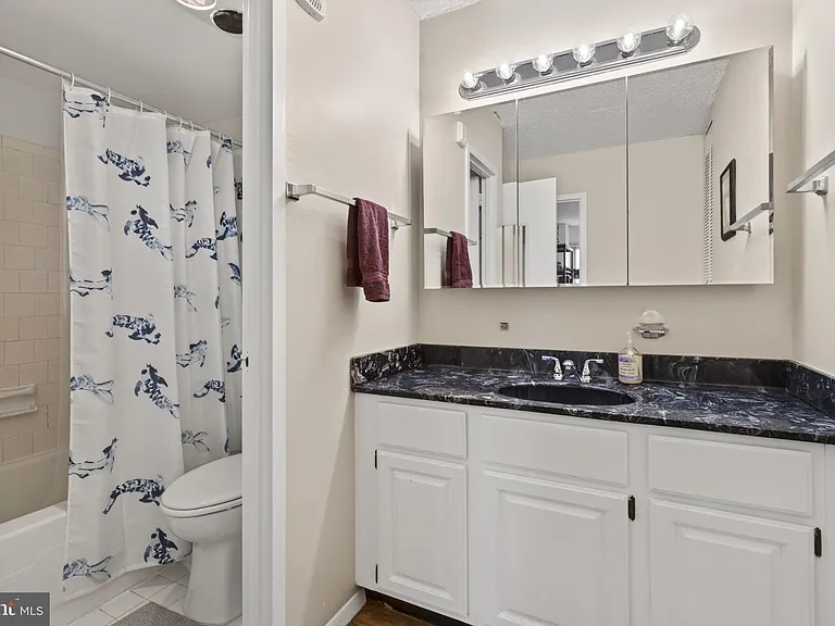 1225 Martha Custis Dr #709 — Photo 23
