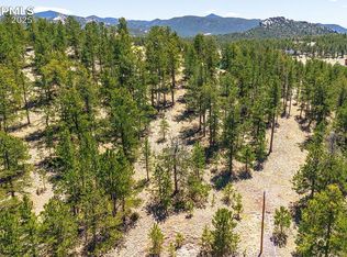 56 Dallas Park Cir, Florissant, CO 80816