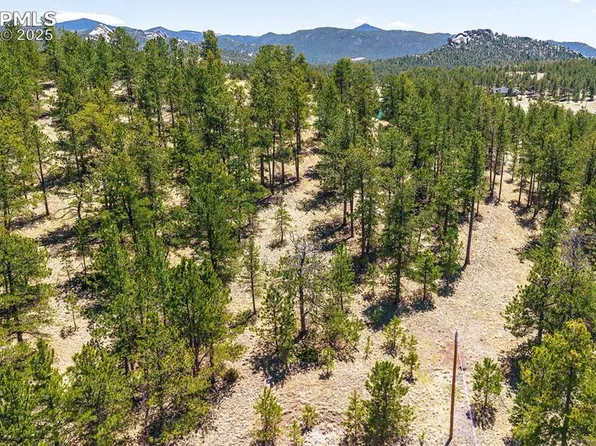 56 Dallas Park Cir, Florissant, CO 80816