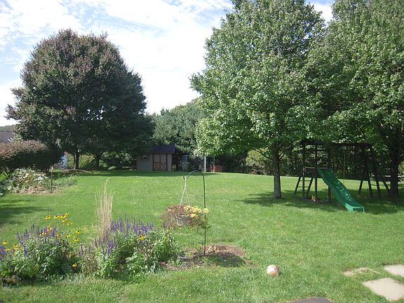 back yard