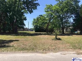 425 Guess St, Darlington, SC 29532