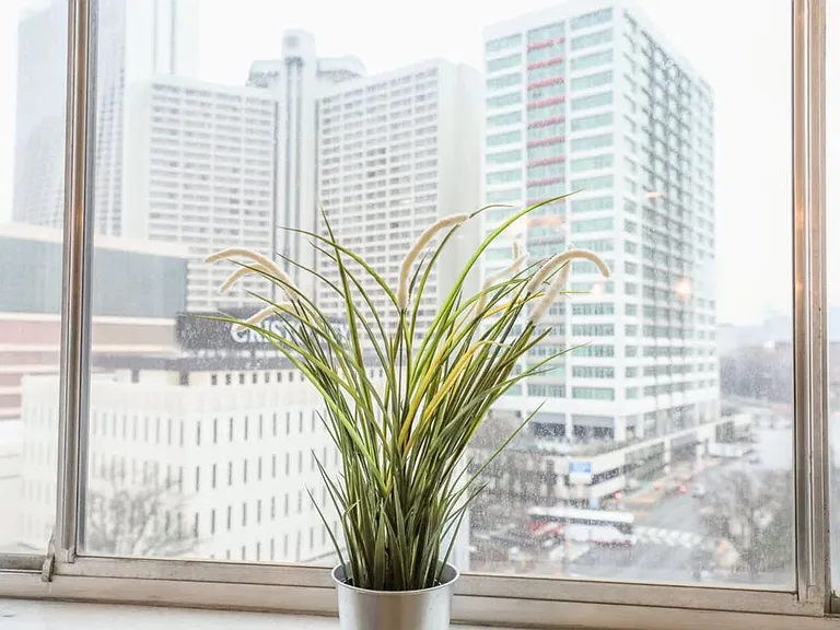 Window View