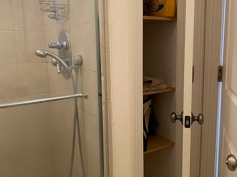 Bathroom closet
