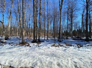 E Sugar Maple Dr #90, Cedar, MI 49621