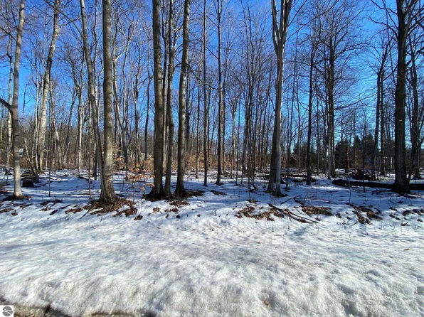 E Sugar Maple Dr #90, Cedar, MI 49621