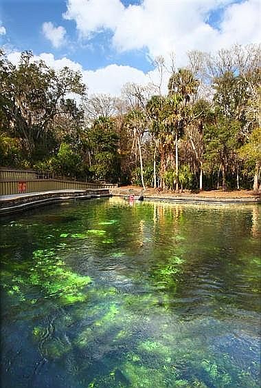 Ck out all the springs 