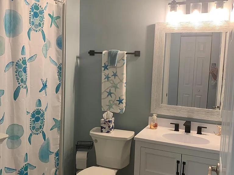 Guest bathroom