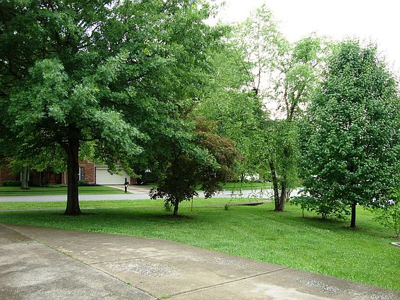 3rd image of 515 Grand Vista Pl