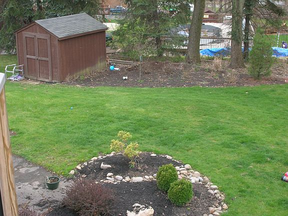 Shed and back yard